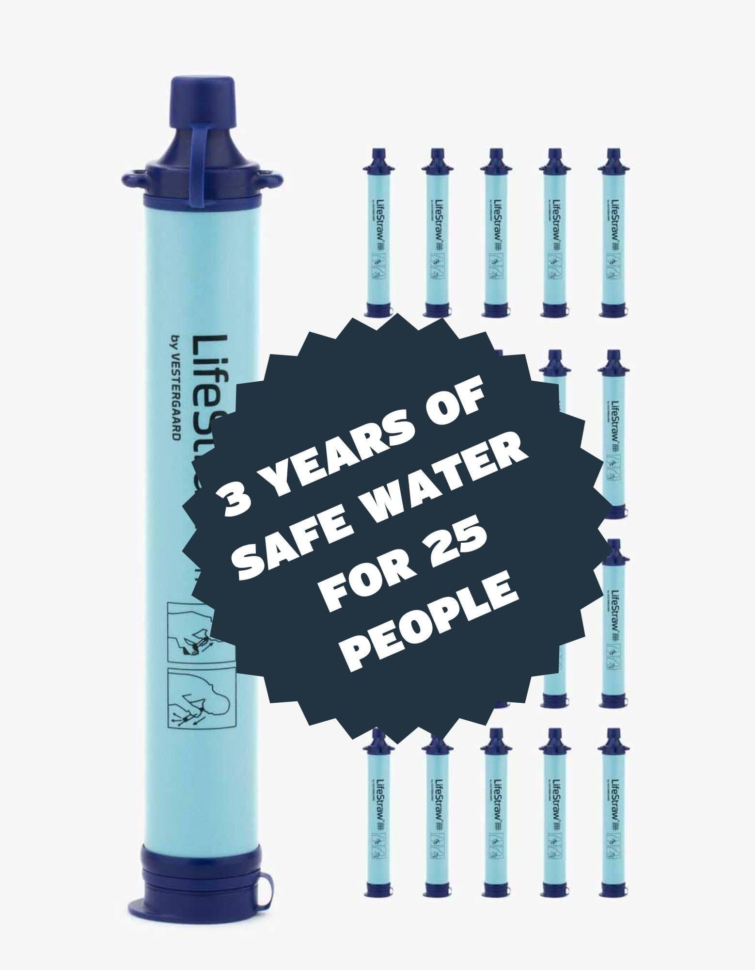 Disaster Master: LifeStraw Personal 25-pack - Image 2